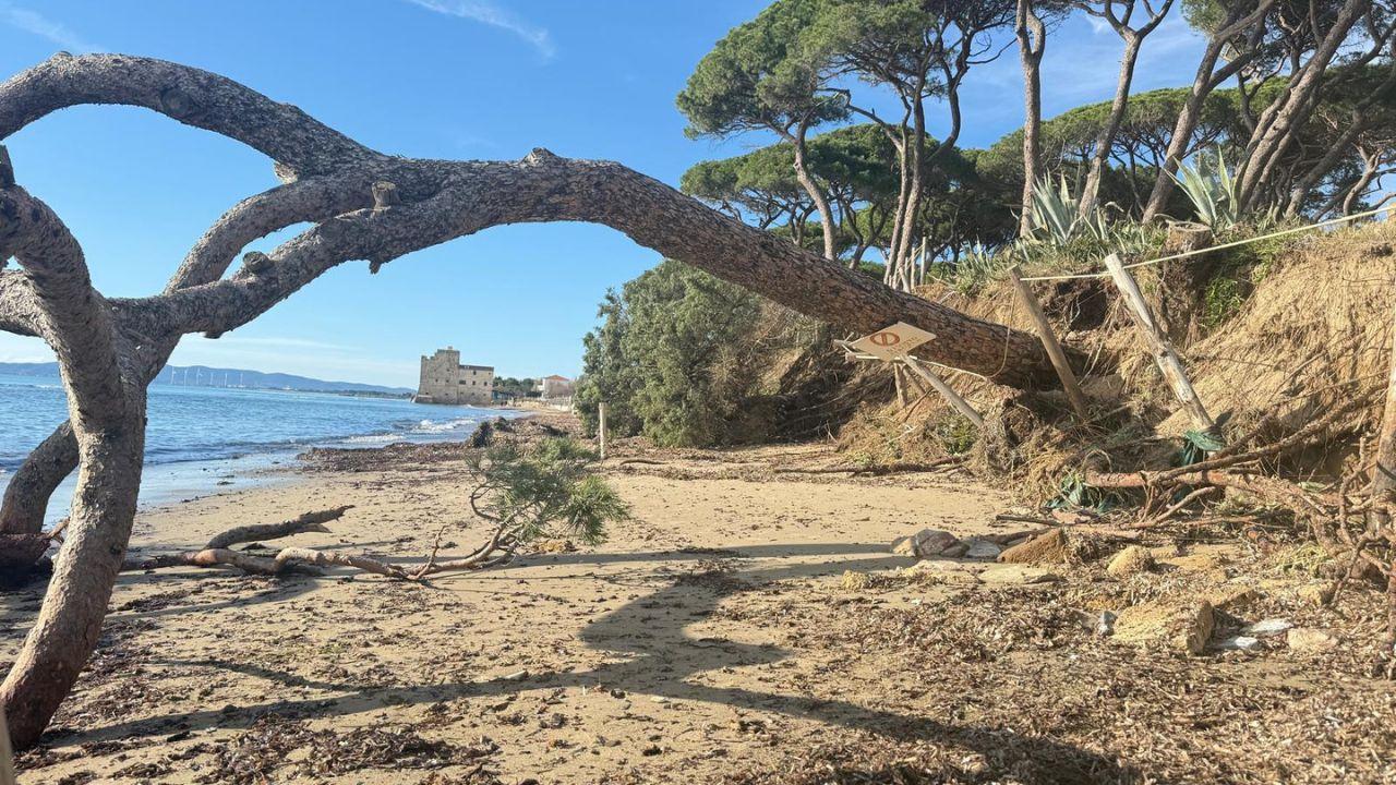 
	Uno scorcio di Torre Mozza

