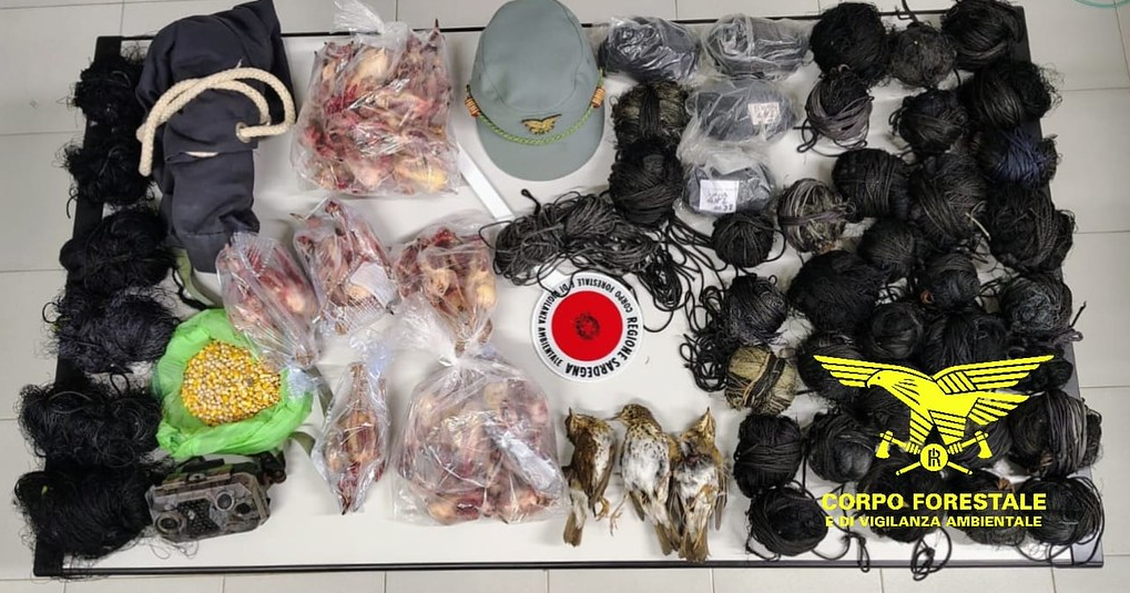 Denunciati quattro bracconieri: sequestrate 120 reti per la cattura illegale e 150 uccelli