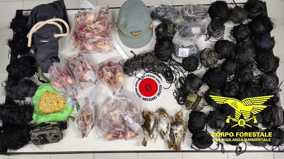 Denunciati quattro bracconieri: sequestrate 120 reti per la cattura illegale e 150 uccelli