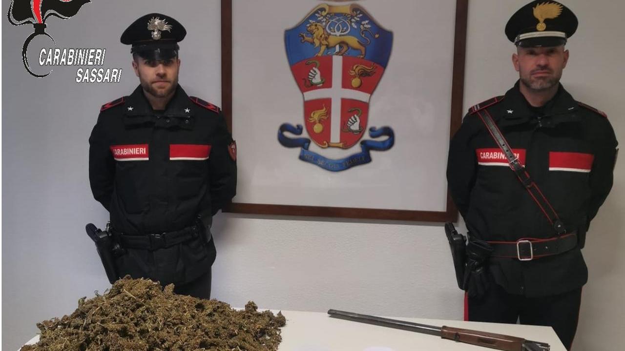 Nel terreno in campagna cocaina, marijuana e armi clandestine: due arresti