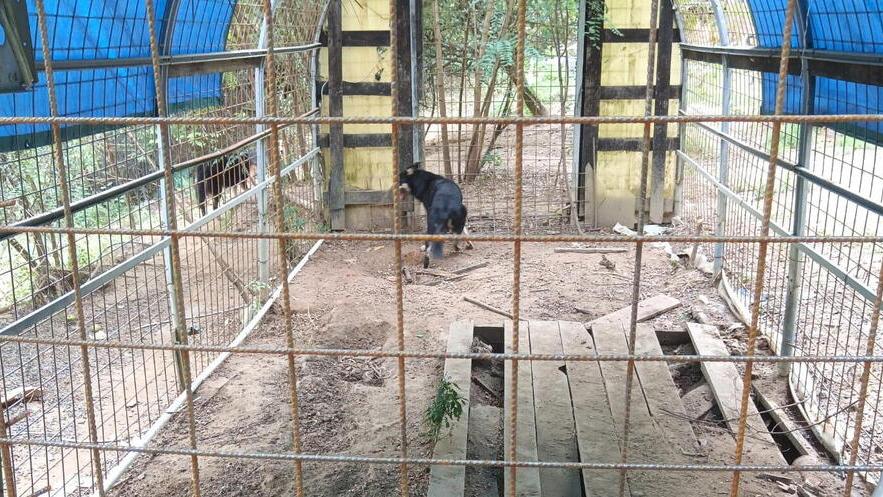 Un'immagine fornita dalla Lav che mostra le condizioni degli animali