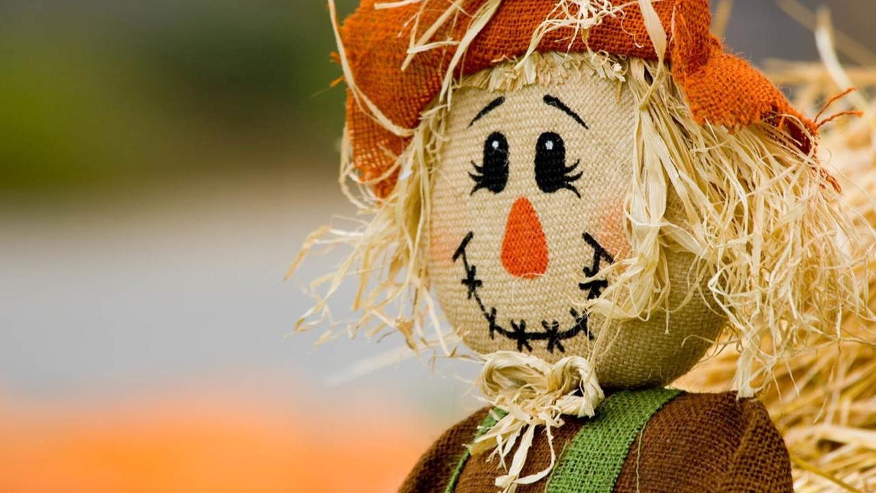 Spaventapasseri da premio, parte la prima edizione del concorso: ecco dove