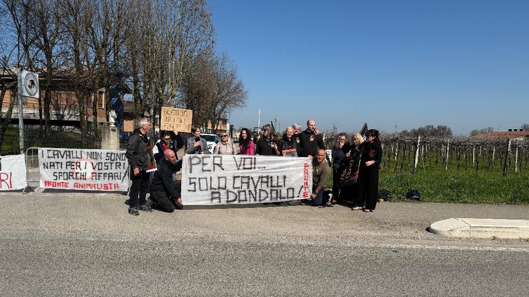 Correggio, nuovo esposto contro il macello equino: «Sequestrate i cavalli»