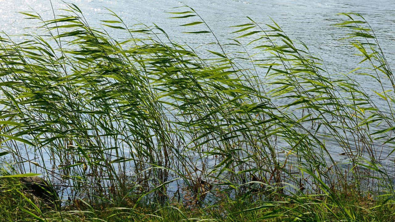 
	Allerta meteo in Toscana&nbsp;

