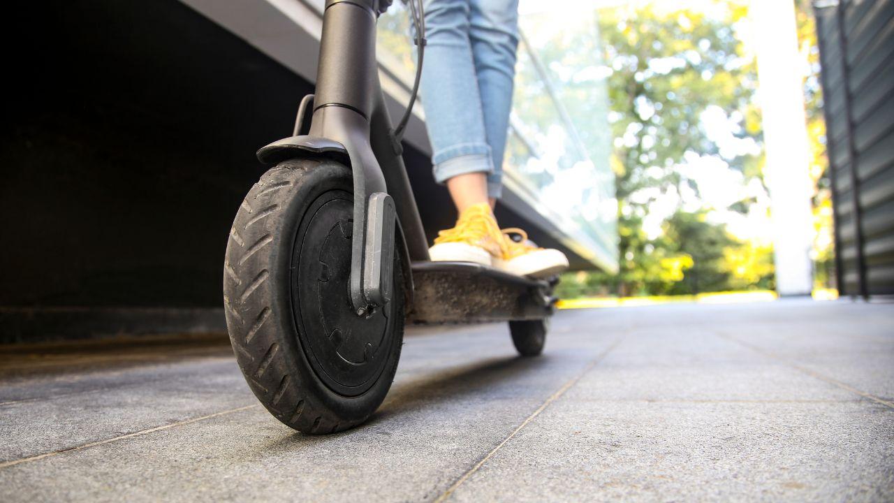 
	(foto di repertorio)

