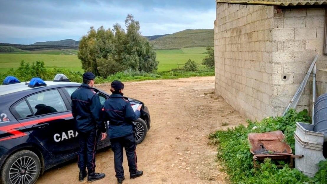 Nel magazzino aveva la serra della marijuana: arrestato 25enne, sequestrati 14 chili – Cosa sappiamo