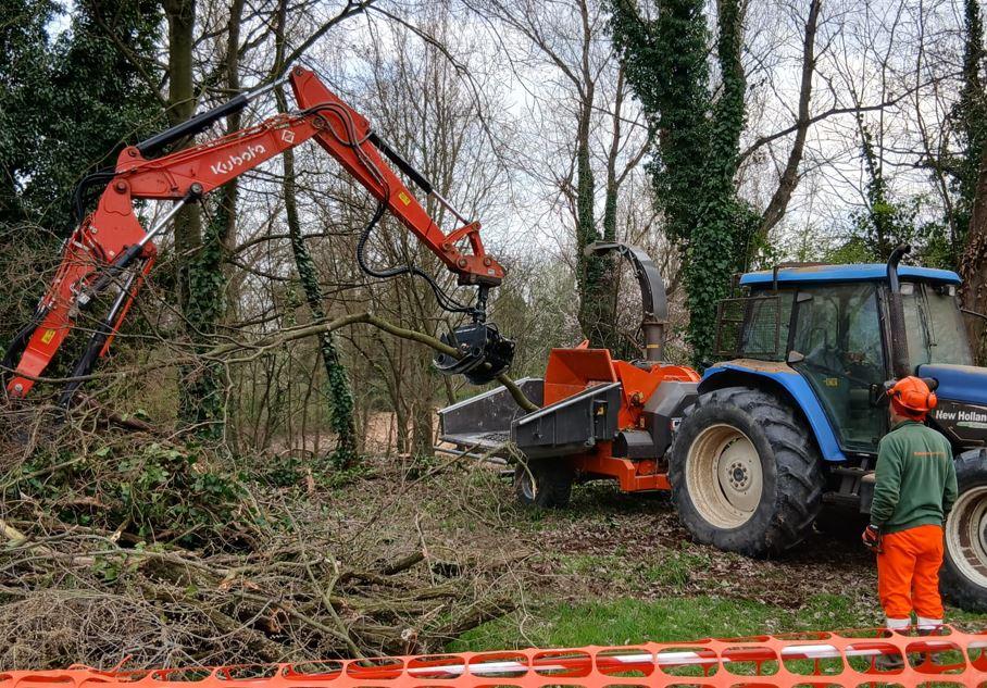 Torrente Crostolo, stop al taglio degli alberi: i lavori slittano a fine estate per salvare i nidi
