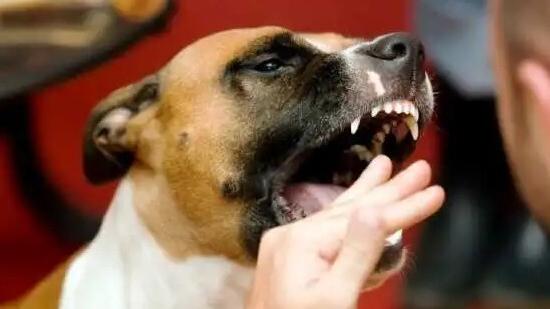 (foto di repertorio)