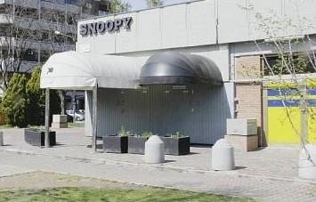 Sicurezza nei locali a Modena: «Nei bar adibiti a disco meno controlli»