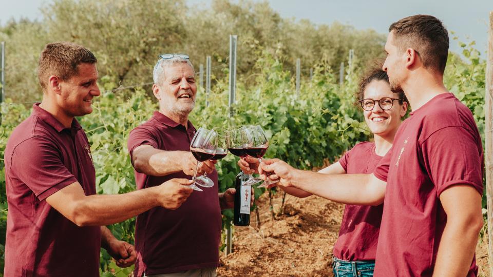 Azienda agricola Valentini per vini e olio d’eccellenza