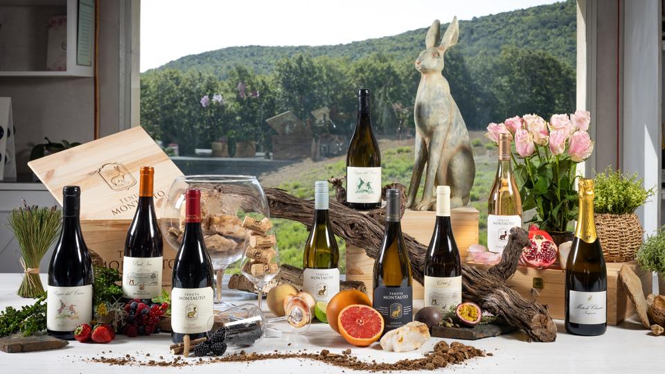 Il vino che nasce nel bosco, sotto il cielo più buio d’Italia e che guarda al futuro nella sua unicità