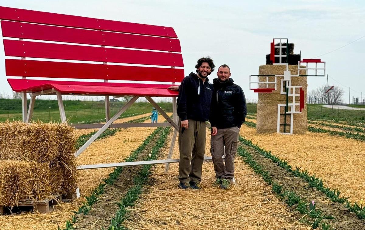 Bando si trasforma in casa dei tulipani: apre il campo dei fiori