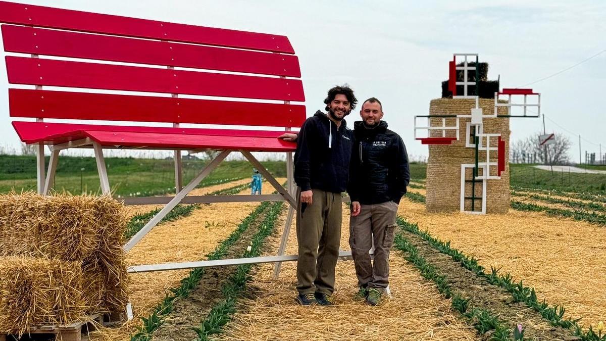 Bando si trasforma in casa dei tulipani: apre il campo dei fiori