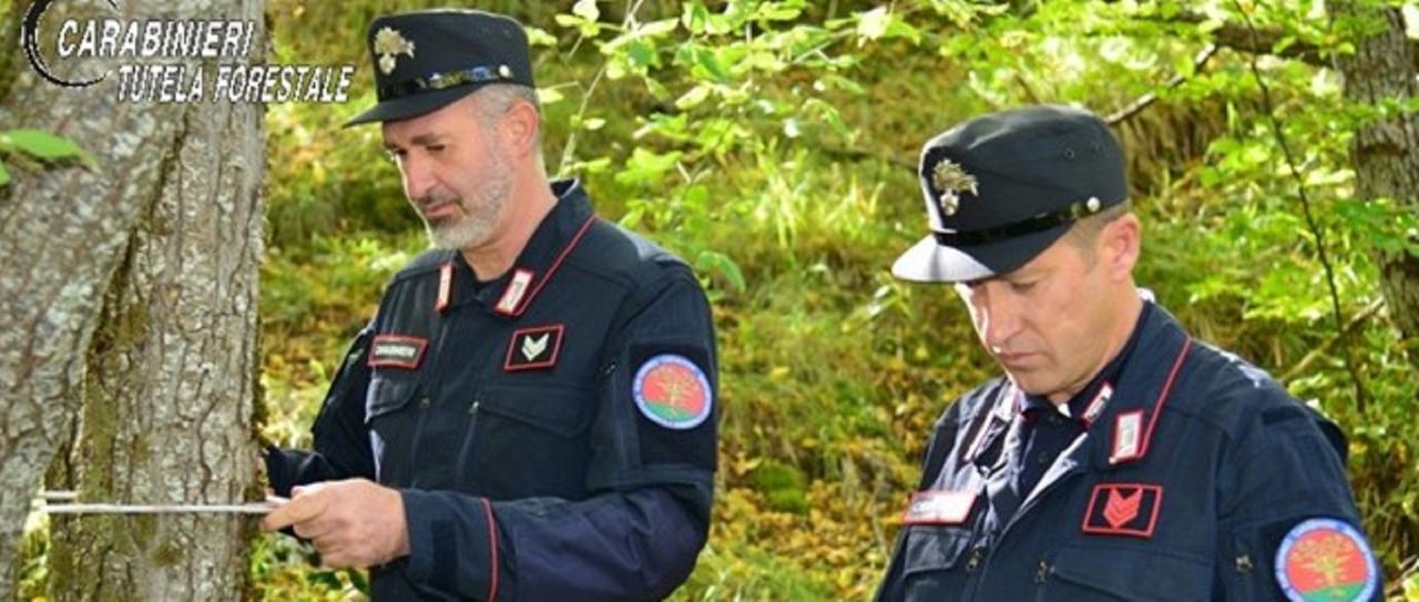 
	Due carabinieri forestali (foto d'archivio)


