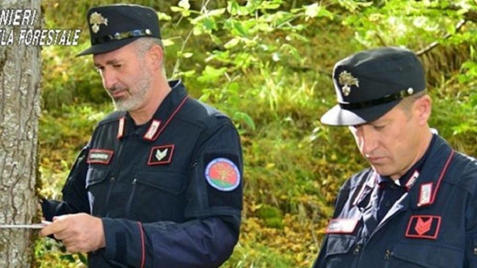 Due carabinieri forestali (foto d'archivio)