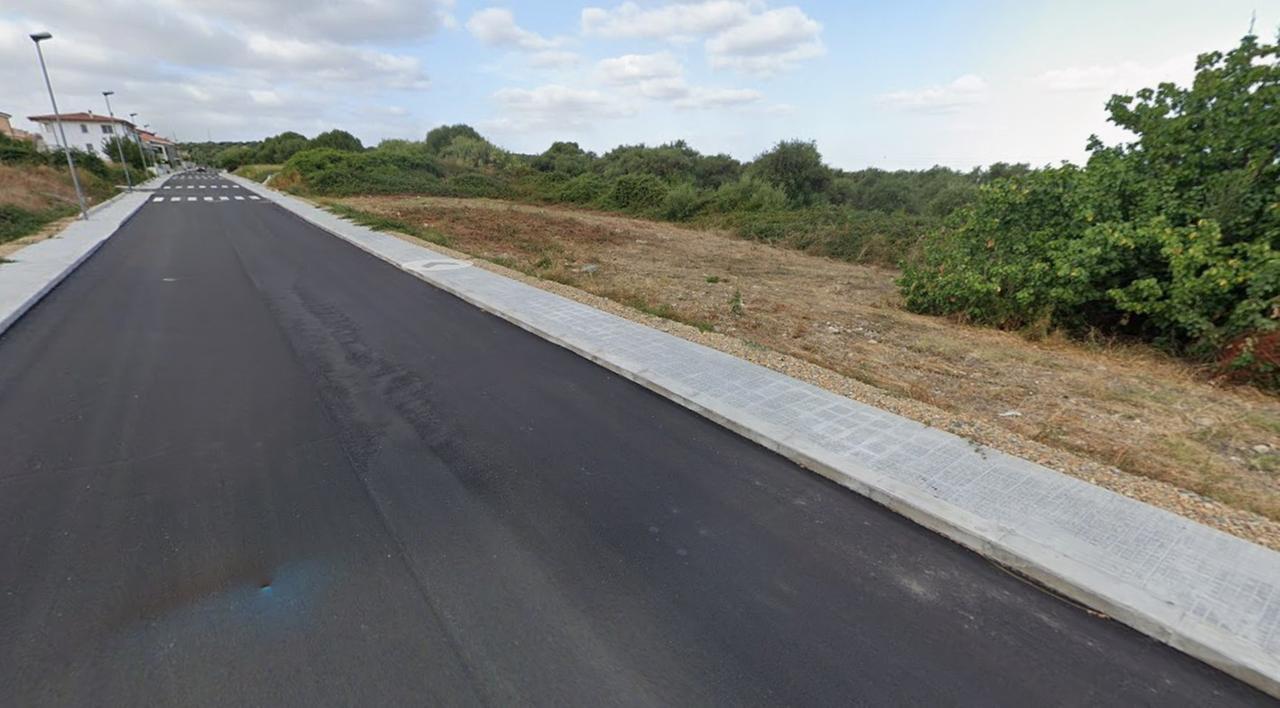 Paura a Sorso, due pitbull si avventano su un barboncino e lo sbranano davanti alla proprietaria