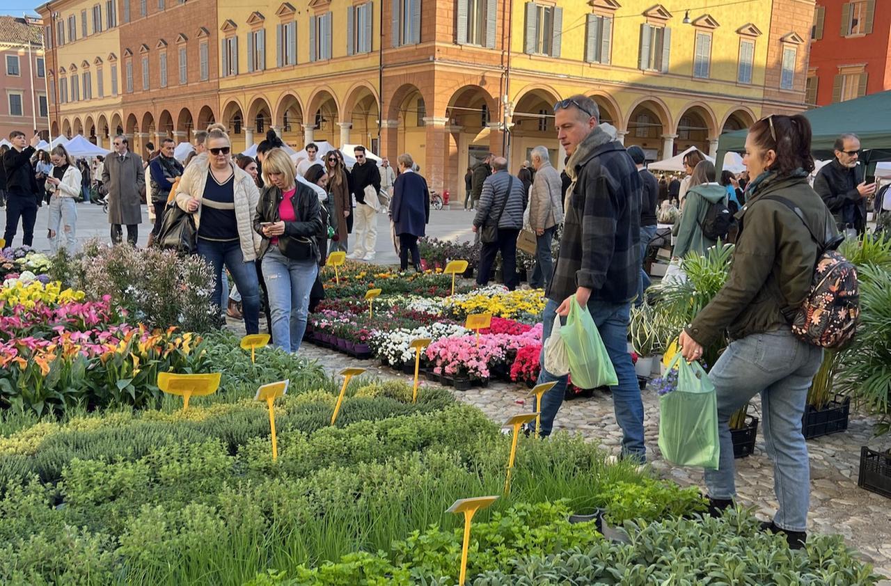 
	Modena in Fiore colora e profuma il centro

