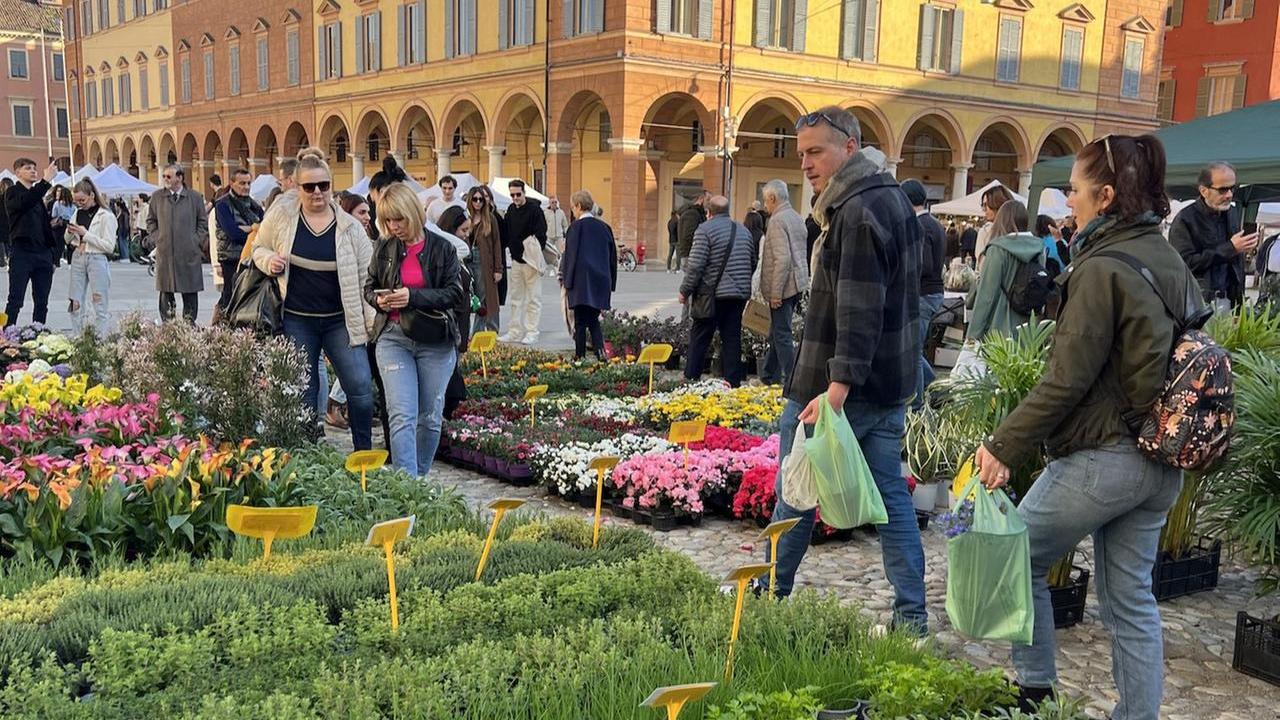 Modena in Fiore colora e profuma il centro