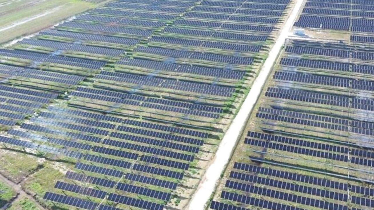 Il nuovo parco fotovoltaico di Bocca di Cornia