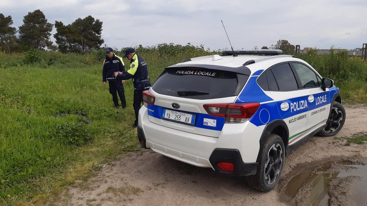 Scarica gusci di ricci in campagna: denunciato dalla Polizia locale