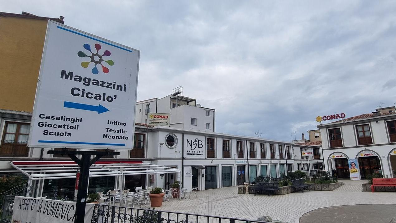 (foto di Massimo Locci)