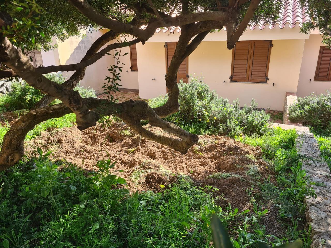 Disinfestazione, prevenzione e fucili: parte la lotta a zanzare e cinghiali