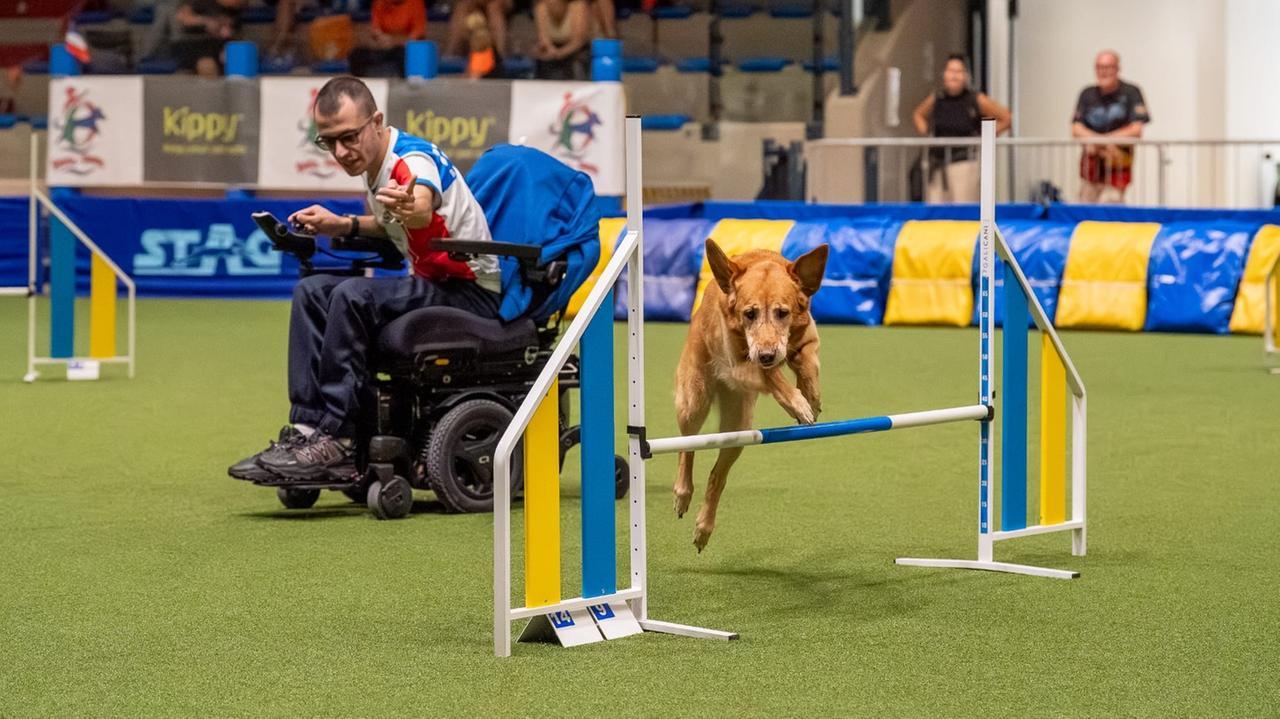 A Olbia nascerà un impianto sportivo dove praticare l’agility dog