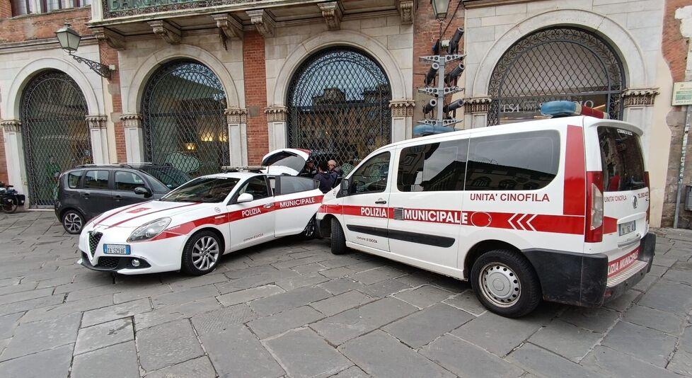 Lucca, “buttadentro” nel mirino della polizia locale