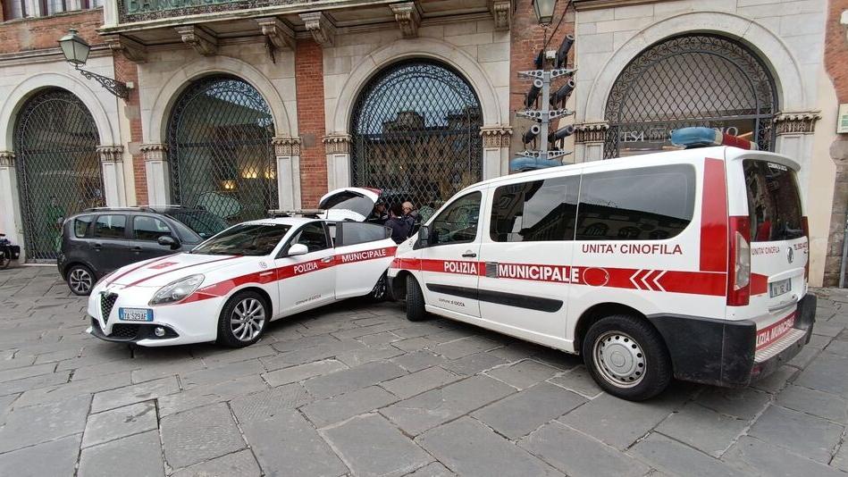 Lucca, “buttadentro” nel mirino della polizia locale