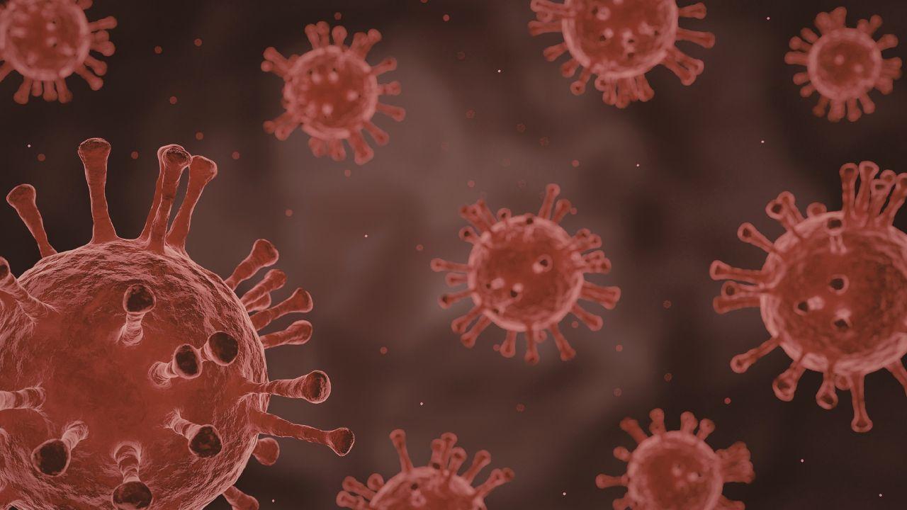 Caso di influenza aviaria a Campi Bisenzio: soppressi mille volatili in 12 ore – “Zona rossa” e controlli sanitari