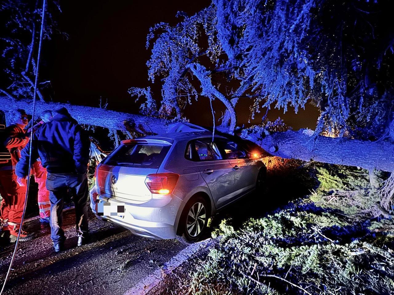 Notte di burrasca e forti raffiche di vento, auto si schianta contro un albero crollato in strada