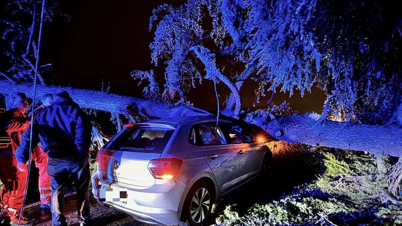 Notte di burrasca e forti raffiche di vento, auto si schianta contro un albero crollato in strada. Venti interventi dei vigili del fuoco in provincia