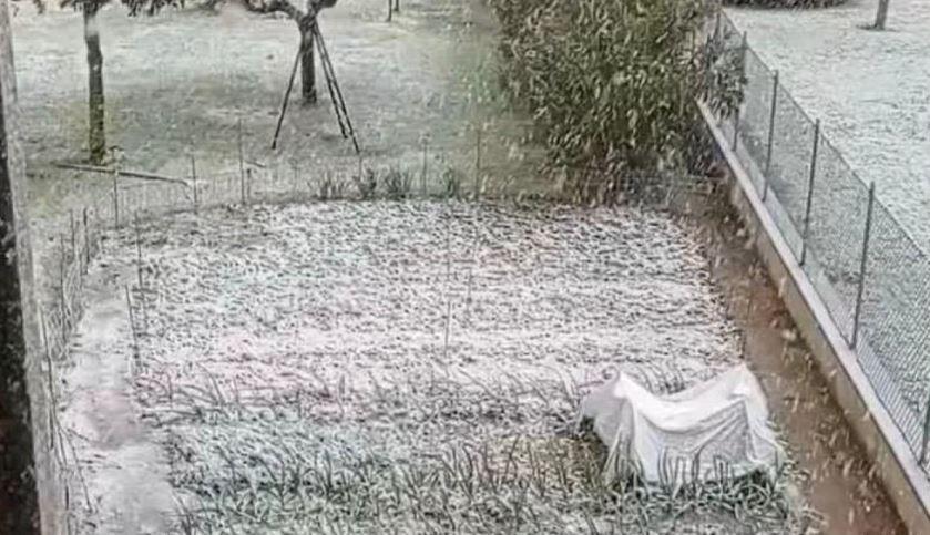 Maltempo, scuole chiuse a Goro e neve a Longastrino – La diretta