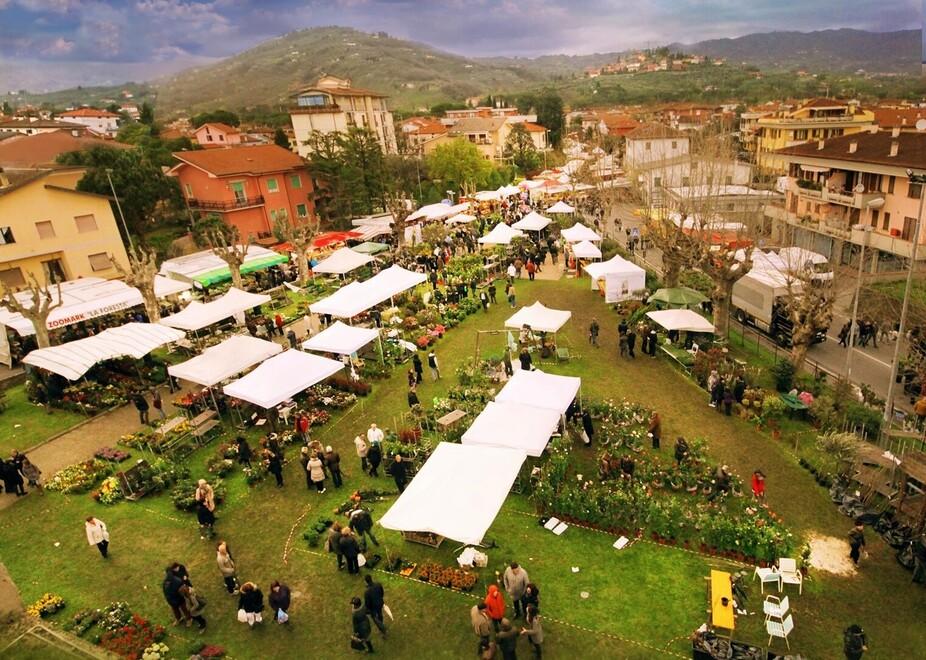 Buggiano, un rito che si ripete da 659 anni: è la Fiera di Santa Maria in Selva