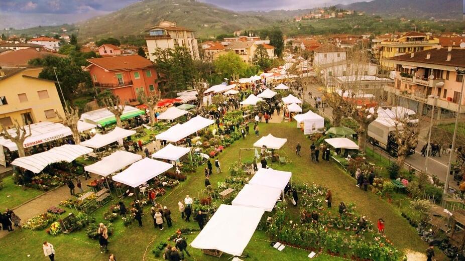 Buggiano, un rito che si ripete da 659 anni: è la Fiera di Santa Maria in Selva