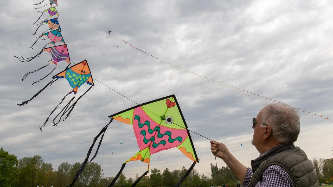 Ferrara resta senza aquiloni: niente Vulandra nel 2026