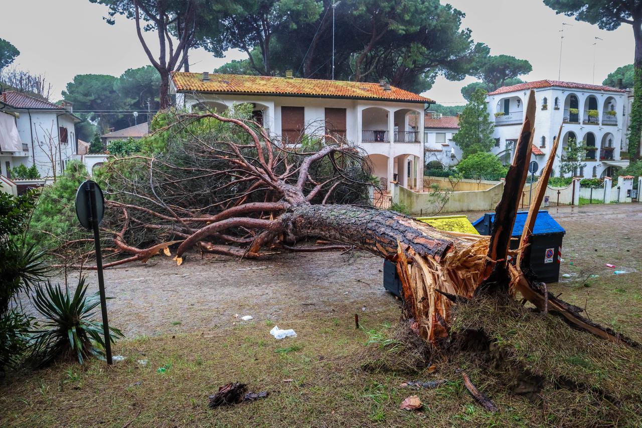 Maltempo Ferrara: vento, alberi caduti e disagi in tutta la provincia