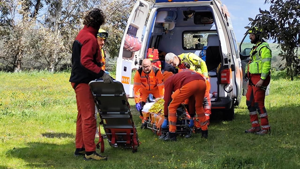 Tragedia sfiorata in una azienda agricola: allevatore aggredito a morsi da una scrofa – VIDEO