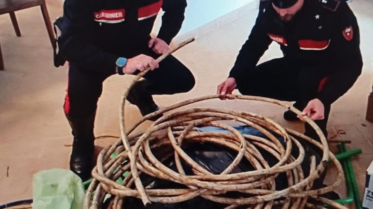 Il materiale sequestrato dai carabinieri