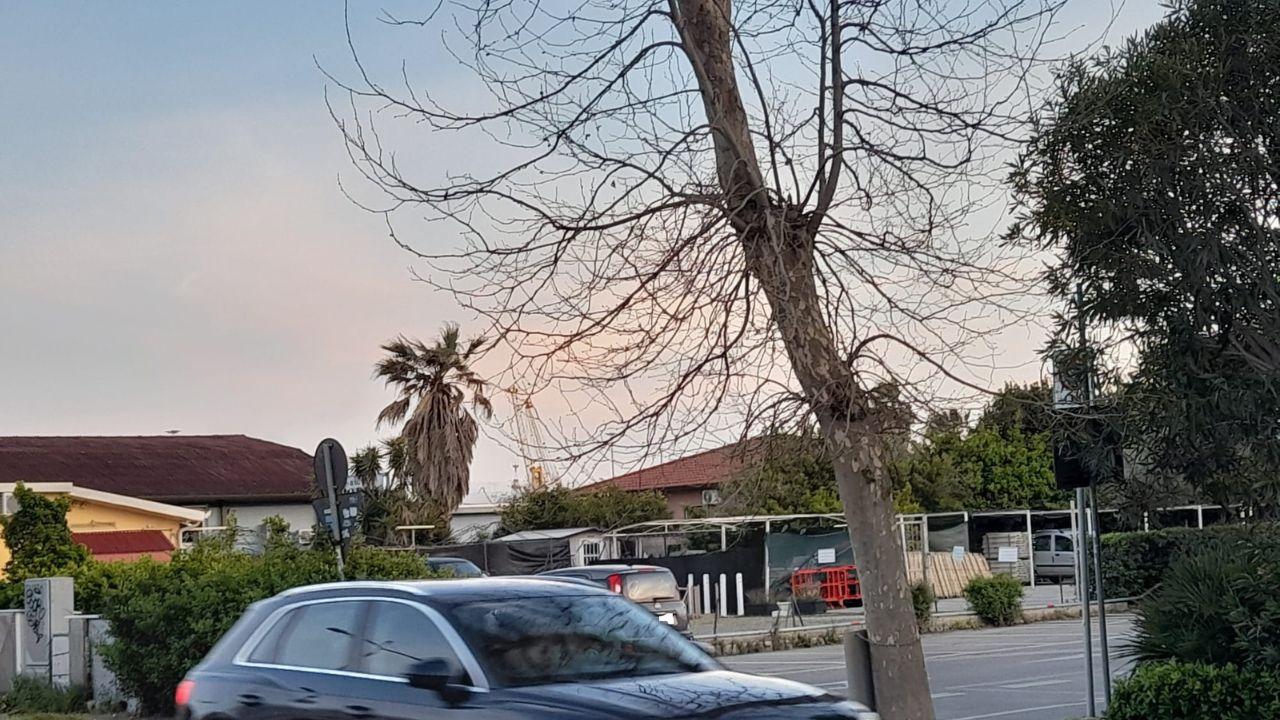 
	La zona di viale Vespucci

