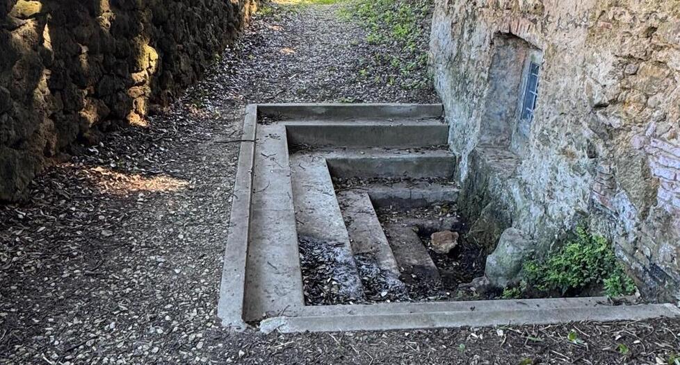 Castiglioncello, ripulita la “Fontina”: sarà un’oasi di pace nel bosco di lecci<br>
