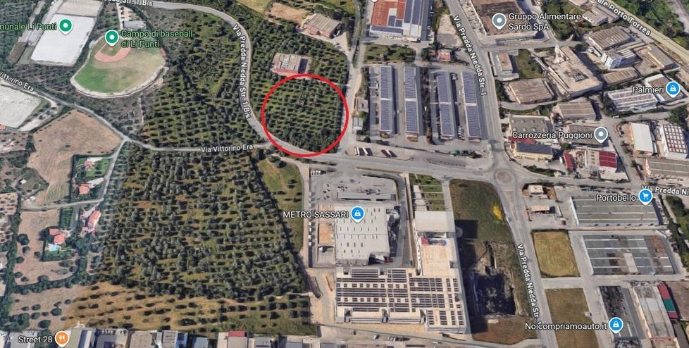 Sassari, un nuovo Eurospin nell'oliveto: via libera della giunta - Ecco dove sorgerà