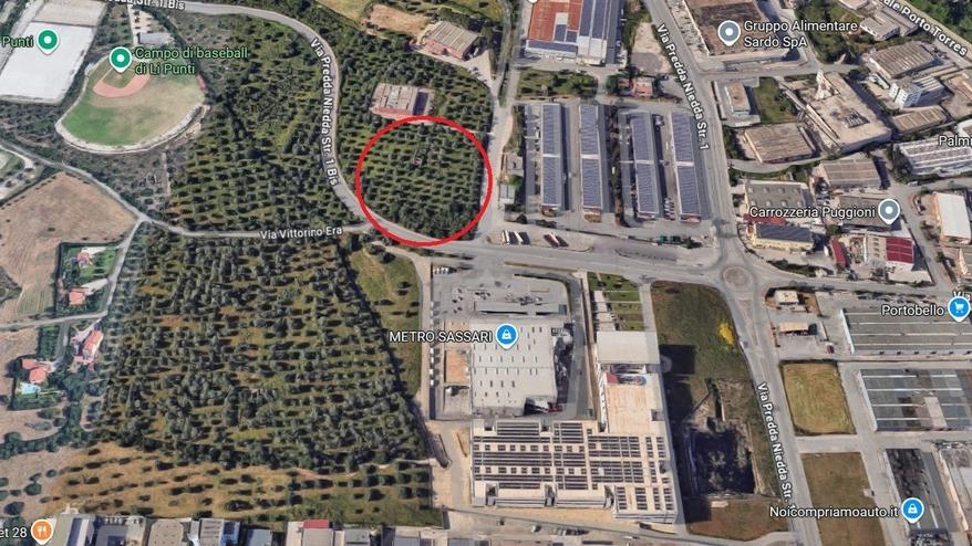 Sassari, un nuovo Eurospin nell'oliveto: via libera della giunta - Ecco dove sorgerà