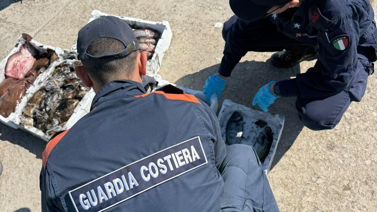 Pesca di frodo nell’Area marina protetta: sequestrati bottino e reti, denunciato il comandante di un peschereccio