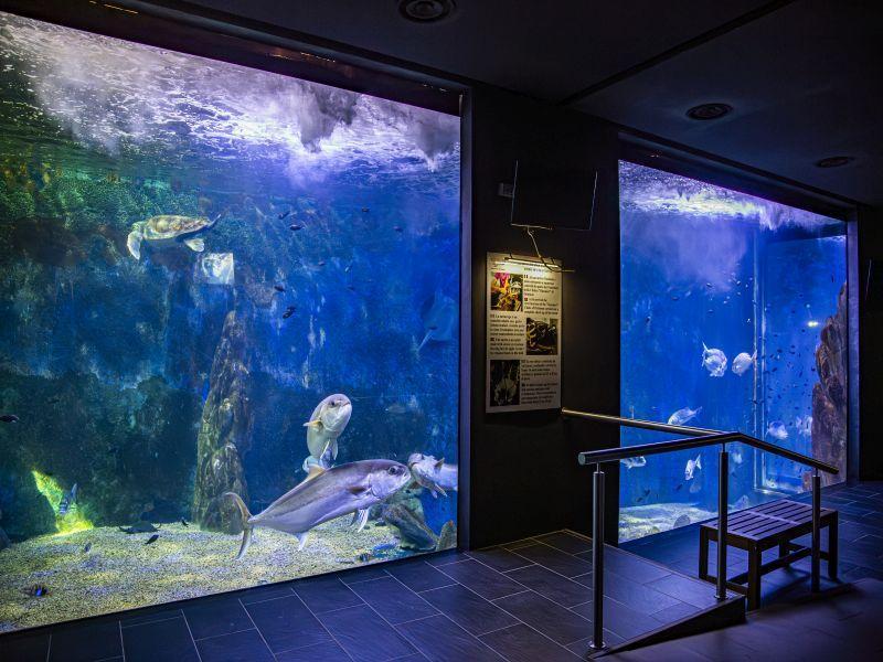 Acquario di Cala Gonone, al via la nuova stagione