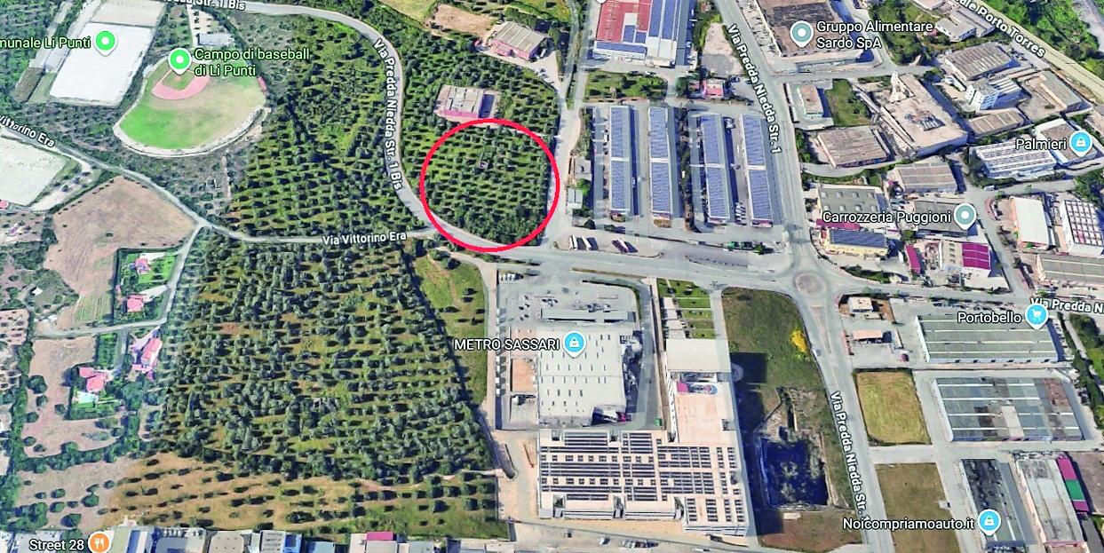 Nuovo Eurospin nell’uliveto, a Sassari scoppia la polemica: «Progetto da bocciare» – Che cosa sta succedendo