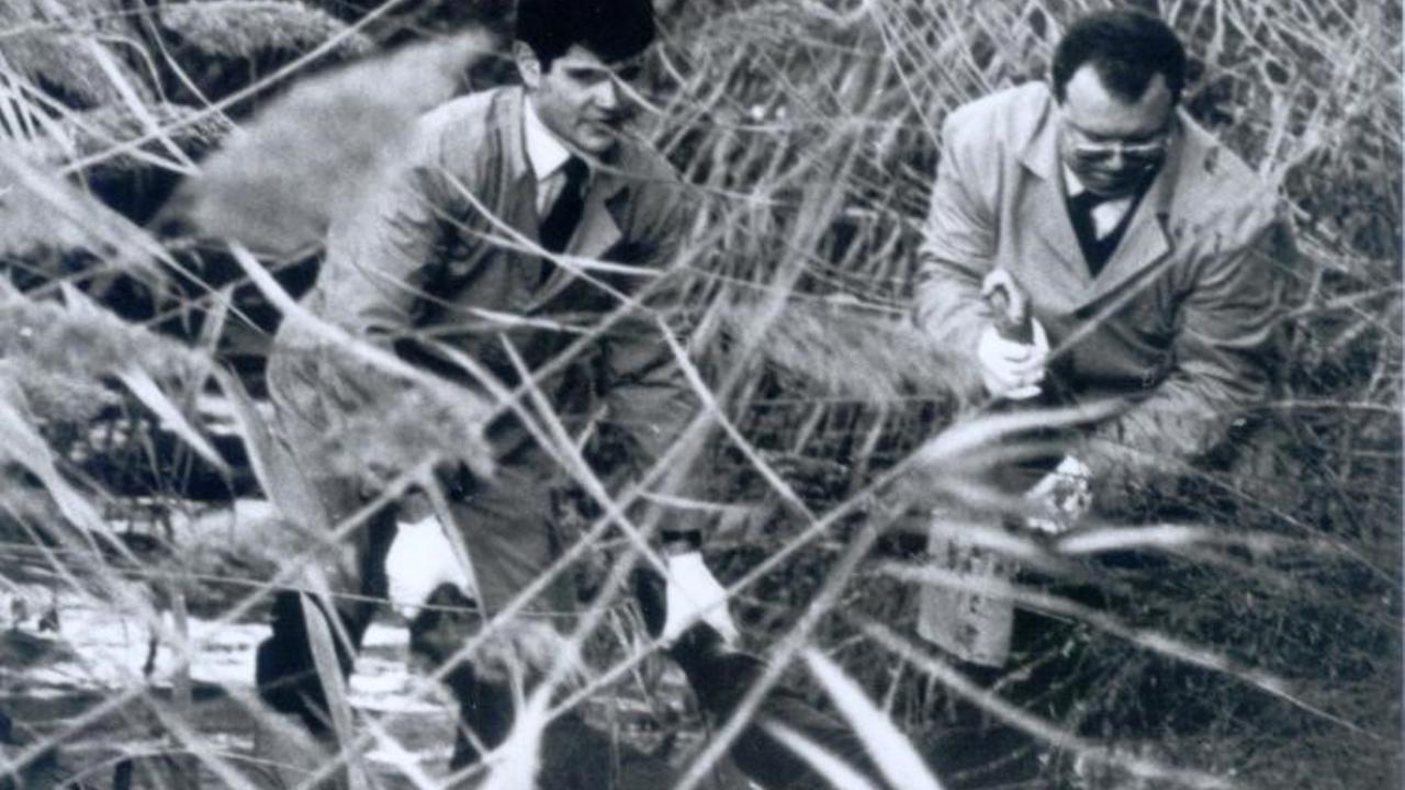 La morte di Anna Maria e il Mostro di Modena: perché la verità si può trovare 32 anni dopo