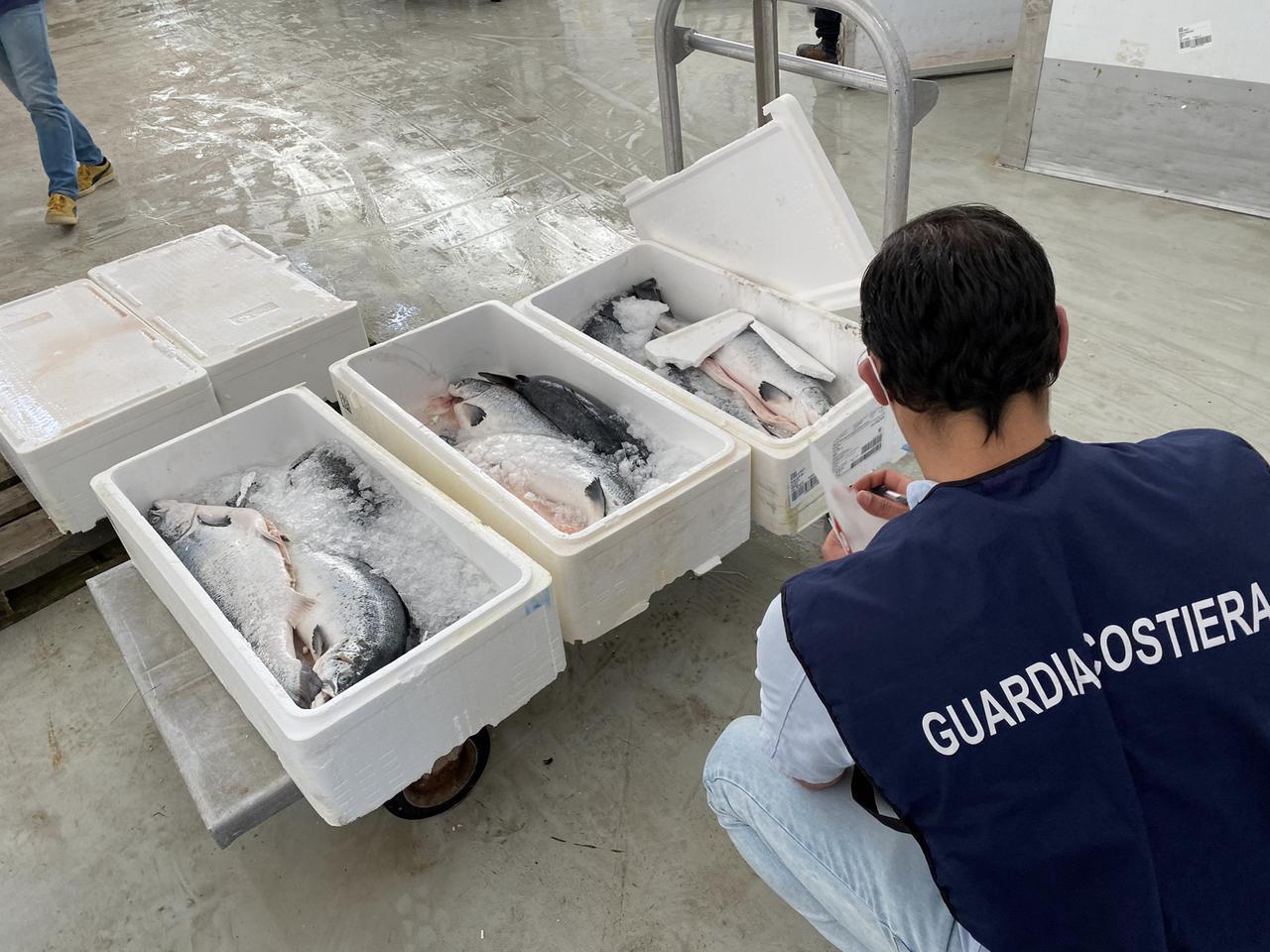 Versilia, pesce “locale” ma dall’Adriatico: indagata una nota cooperativa