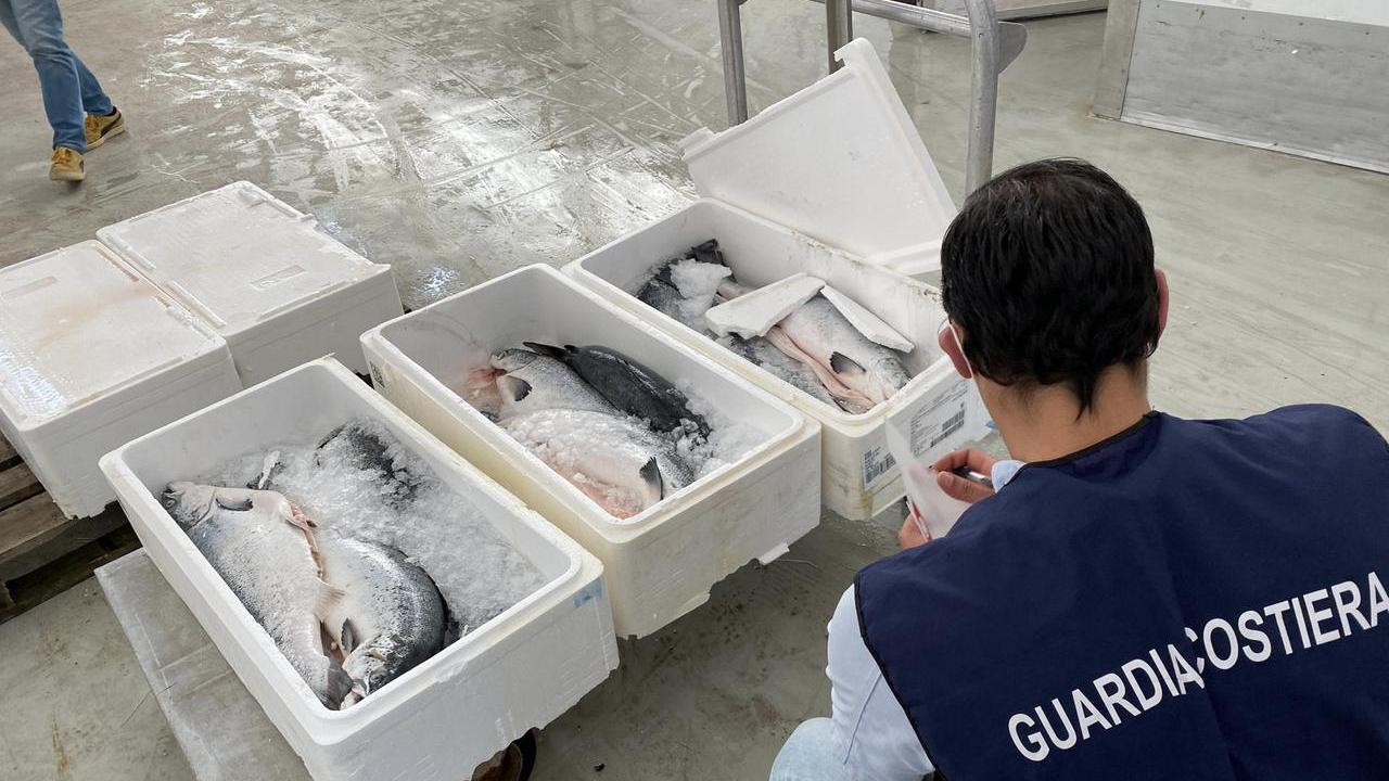 I militari della guardia costiera durante i controlli alla filiera della pesca (foto della Capitaneria di porto)