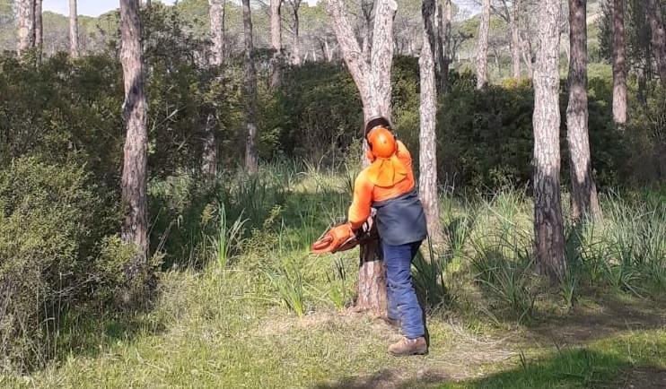 Mancate assunzioni a Forestas, un incontro il primo aprile a Sorgono